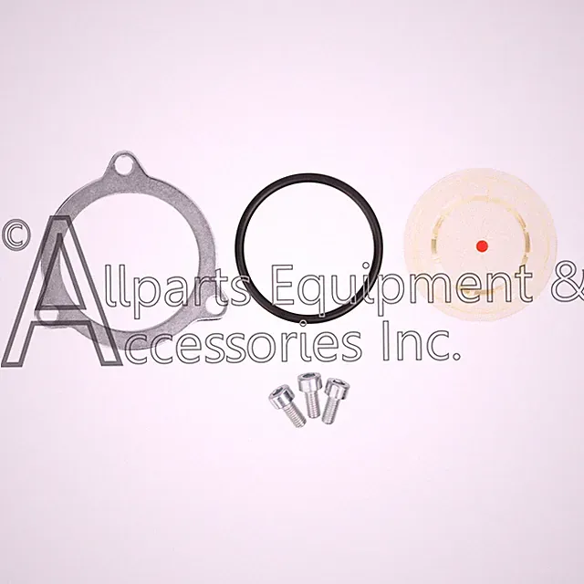 Simpson OEM Oil Sight Glass and O-Ring Kit for AAA Pumps EW4040/7109267